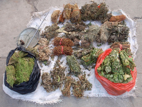 Assorted herbal medicines.